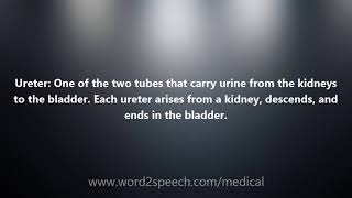 Ureter - Medical Definition and Pronunciation