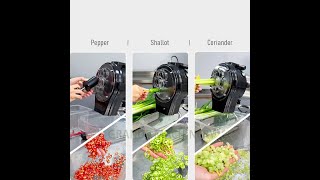 Spring Onion Cutter Scallion Shallot Chives Cutting Machine Cilantro Leek Vegetable Cutter Machine
