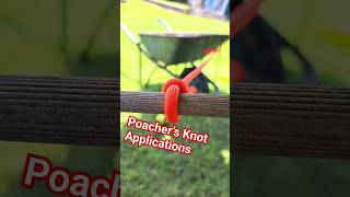 Poacher’s Knot Applications #knot #outdoors #shorts