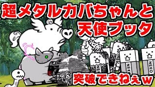 こーた チームどんぺり ประเทศไทย Vlip Lv こーた チームどんぺり ประเทศไทย Vlip Lv