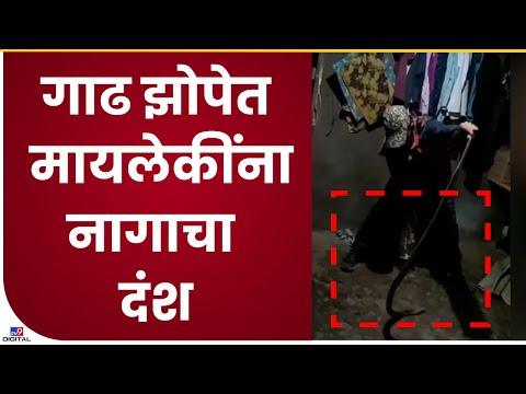 Kolhapur | रात्री झोपेत मायलेकींना विषारी नागाचा दंश, मुलीचा जागीच मृत्यू -tv9