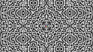Black White Kaleidoscope Loop | Geometric Motion Art