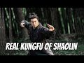 Wu Tang Collection - Real Kung Fu of Shaolin