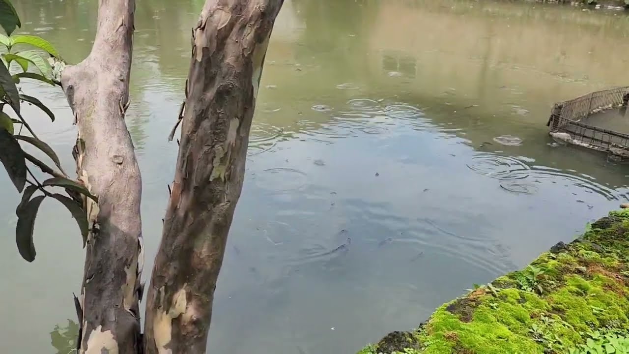 VIRAL!!! ALIRAN SUNGAI KADUNGORA GARUT TERKONTAMINASI LIMBAH, MERUSAK LINGKUNGAN!!!