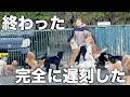 朝の犬の世話に盛大に遅刻したドッグトレーナーのガチ焦りをご覧ください