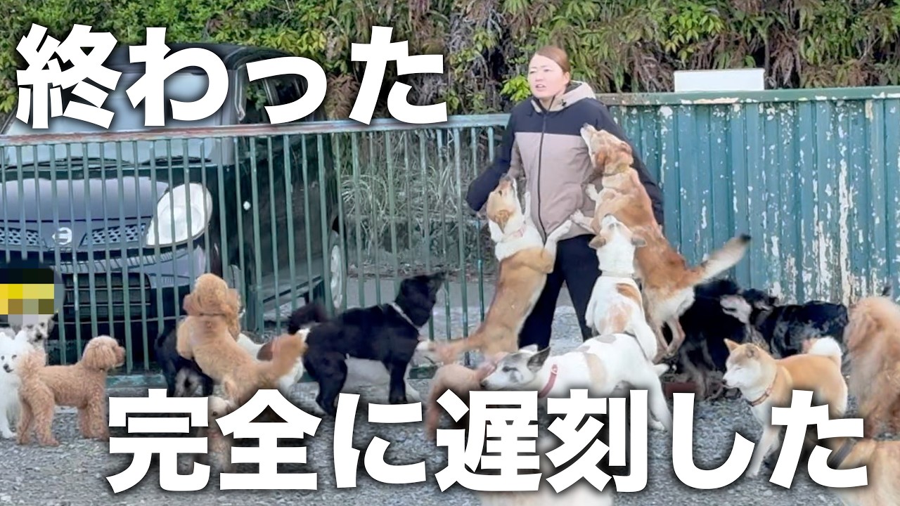 Watch as a dog trainer panics after being spectacularly late for