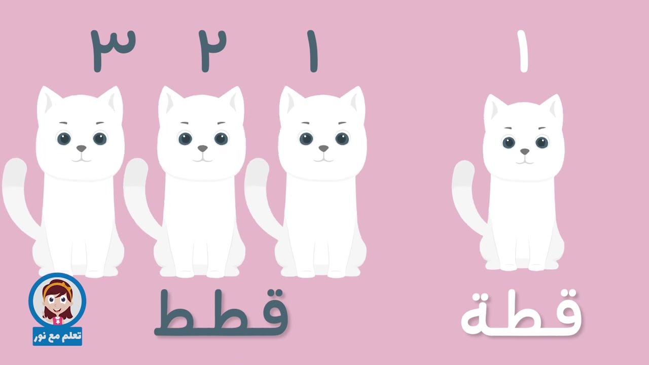 تعليم الجمع والمفرد للاطفال | تعليم جمع الكلمات | تعلم مع نور