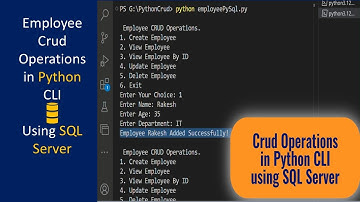 Crud Python Sql Server || Python CLI || SQL Server