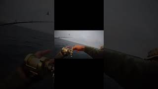 Twilight Sand Bass on the New Del Mar