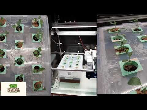 วีดีโอ: Aeroponic Gardening - วิธีการสร้างระบบ Aeroponic สำหรับพืช