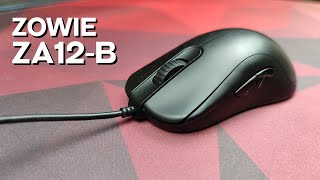 Обзор Zowie ZA12-B. Актуально в 2021?