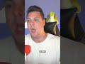 Легендарки и реактивы новых БП