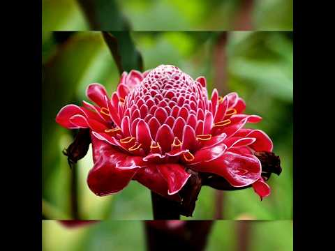 В ДАЛИНІ ЗА СЕЛОМ