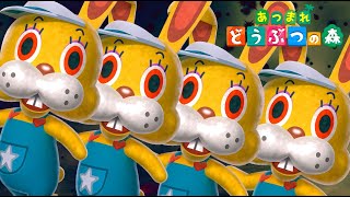 どうぶつの森の絶対的ヒロインは、この子以外ありえないんだよなぁ#13【あつまれ どうぶつの森】