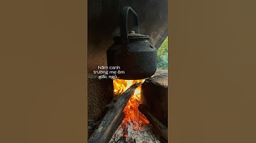 Có ai còn nấu bếp củi như gia đình em không #ai #voquynhmmo #phimhay #aiautomation