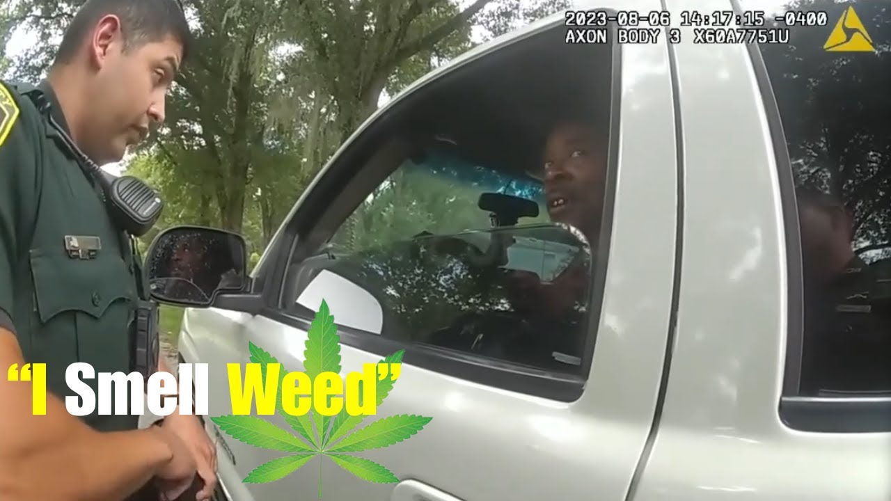 LAWYER: What to Do When Cops Say They Smell Weed
