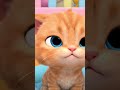 gatinho triste por que você não quer se inscrever nesse canal