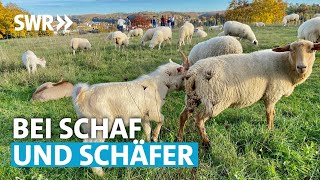 Auf Tour auf der Schwäbischen Alb: Wandern, Lamm essen, Kleidung aus Wolle kaufen | SWR Treffpunkt