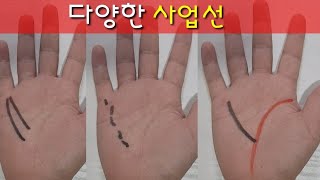 다양한 사업선 (사업운 및 직장운을 나타내주는 손금)