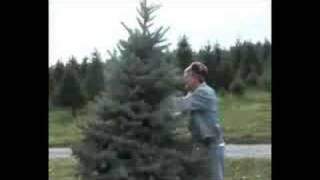 Shake and Bail - Snickers Gap Christmas Tree Farm