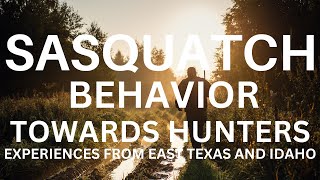 THE SASQUATCH BECOME TERRITORIAL WHEN THEY ENCOUNTER HUNTERS | (IDAHO AND EAST TEXAS)