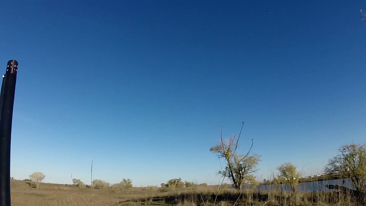 Dove hunting Sacramento California 