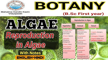 Reproduction in Algae/Vegetative/Asexual/Sexual reproduction in Alge/BSc 1st year