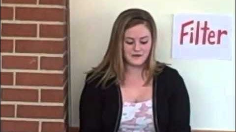 An Information Processing Model