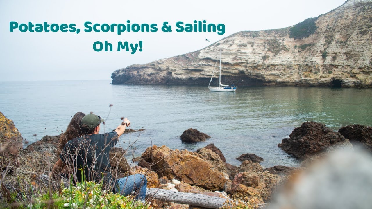 Sailing Avocet: Potato Bay, Little Scorpion, Scorpion