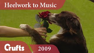 Heelwork To Music - Freestyle International Competition 2009 | Crufts Dog Show