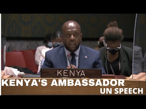 KENYA'S AMBASSADOR TO UN  MARTIN KIMANI'S SPEECH ON UKRAINE-RUSSIA CRISIS WOWS THE WORLD!!