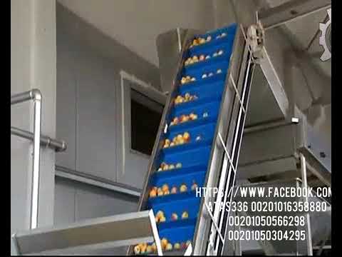 خط إنتاج و تعبئة مشروبات وفرز خوخ و مشمش