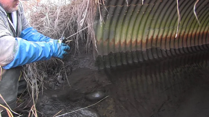 visual attraction for muskrat & mink sets