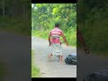BEST FUNNY VILLAGE PRANK FOR LAUGHING! | SAGOR BHUYAN