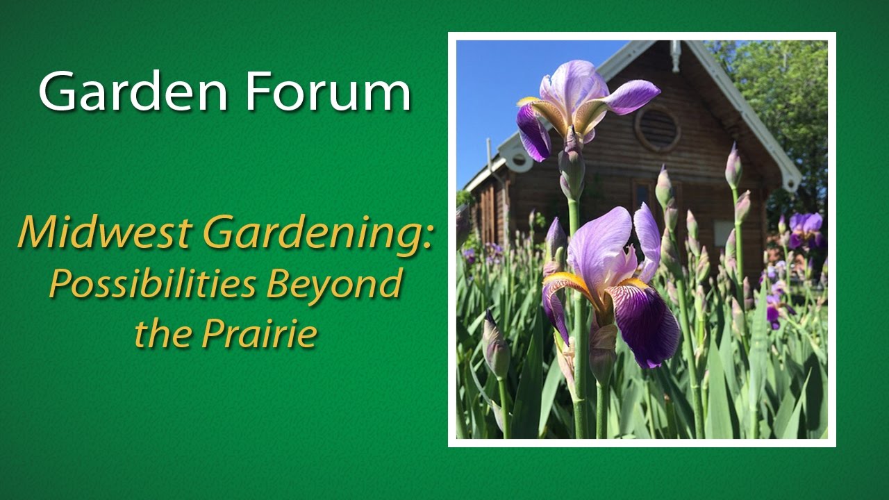 Project Green Midwest Gardening Possibilities Beyond The