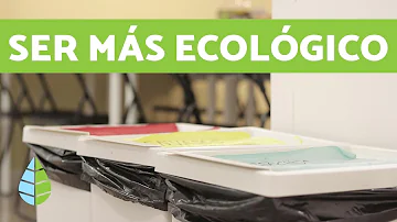 ¿Cómo puedo ser ecológico en casa?