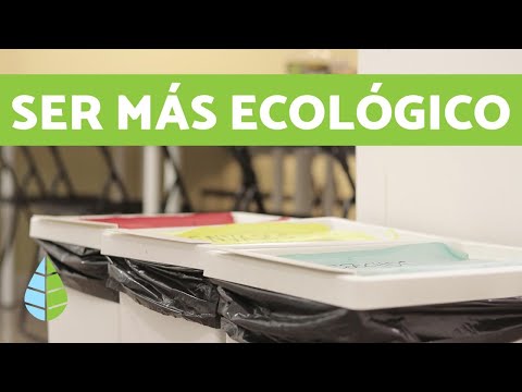 Video: ¿Qué es la gestión ecológica y cómo pueden las organizaciones volverse ecológicas?