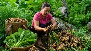 Hard Work On The Farm Picking Ginger And Cooking With My Best Friend