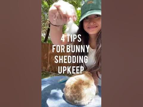 4 TIPS FOR BUNNY FUR SHEDDING | Pet Rabbit Care 
