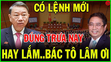 Chế Độ Trợ Cấp Cựu Chiến Binh Theo Quyết Định 62 Và 142 mới Nhất 2025 | TIN NÓNG 24H