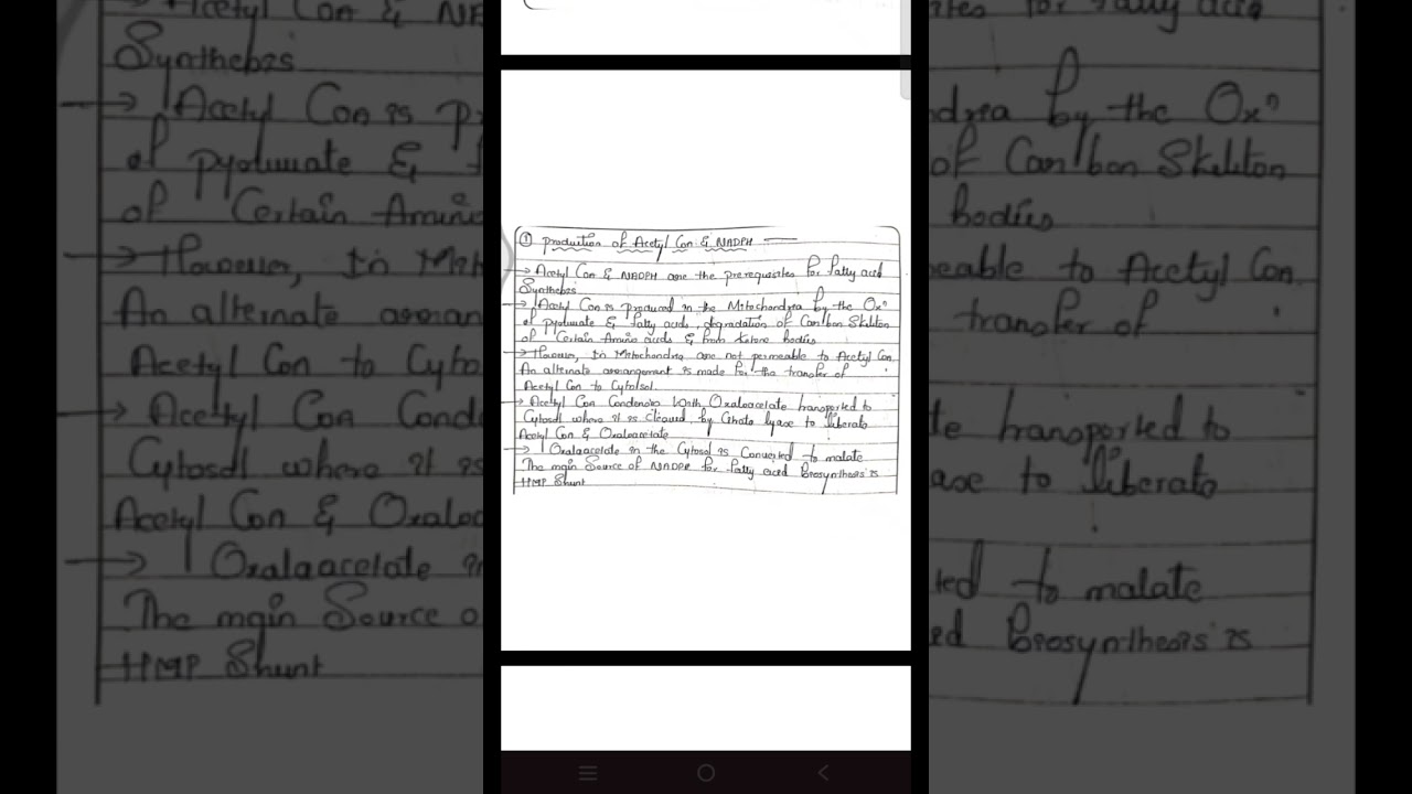 De Novo synthesis of Fatty acid 