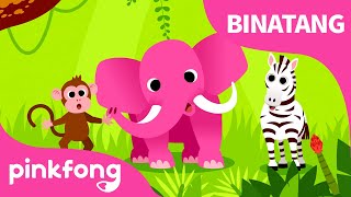 Binatang, Binatang | Lagu Hewan | Lagu Anak Bahasa Indonesia | Pinkfong dan Baby Shark