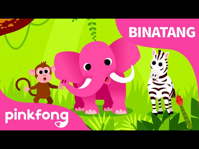 Binatang, Binatang | Lagu Hewan | Lagu Anak Bahasa Indonesia | Pinkfong dan Baby Shark class=