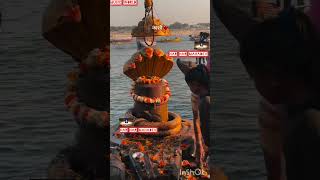 tere sayen me Mahadev 🙏#love #emotionalsong #mahadev #mahakal #song #emotion #bhakti #viswanath