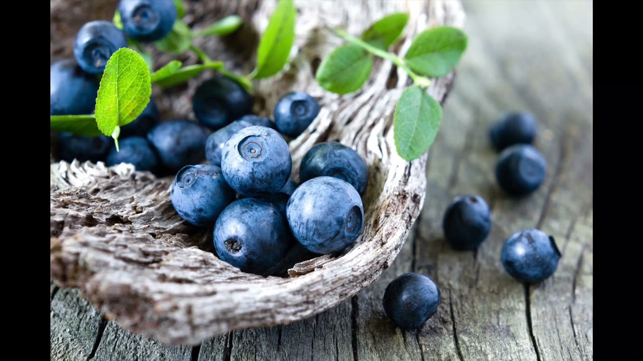 My Song for Violet Beauregarde (Version 2) 🫐 #catcf #wonka