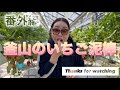 【いちご狩り】ある日の休日にBBAが修学旅行気分で、いちご狩りに行ってみたよ。【火鍋】#いちご狩り #お寿司 #火鍋 @kariconic_channel