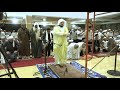 Sholat Tarawih Berjamaah dengan Putra Imam Masjidil Harom