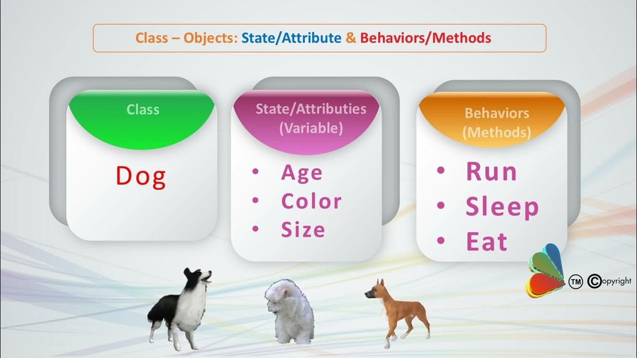 #25 Class Object Methods in Java Tutorial For Beginners - YouTube