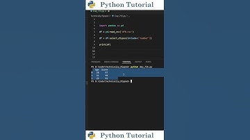 Filter Columns by Type In Pandas Dataframe | Python Tutorial