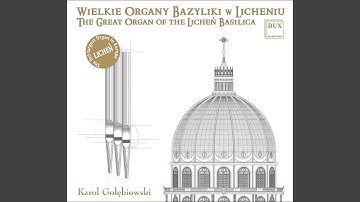 Organ Sonata No. 1 in D Minor, Op. 42: I. Introduction and Allegro